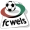logo Wels