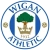 logo Wigan