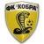logo Kobra Kharkiv
