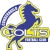 logo Cumbernauld Colts
