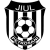 logo Jiul Petrosani