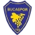 logo Bucaspor