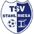 logo Stahl Riesa