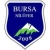 logo Bursa Nilüferspor