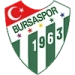 logo Bursaspor