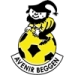 logo Avenir Beggen