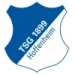 logo Hoffenheim