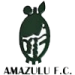 logo AmaZulu