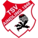 logo Aindling