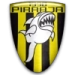 logo Piraaja