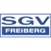 logo Freiberg