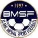 logo Le Blanc-Mesnil