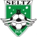 logo St Etienne Seltz