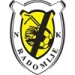 logo Radomlje