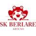 logo Berlare