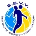 logo Sorcy Void Vacon
