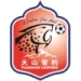 logo Xinjiang Tianshan Leopard