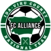 logo Alliance Ida-Virumaa