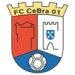 logo Cebra 01