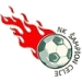 logo Sampion Celje