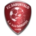 logo Saburtalo