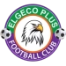 logo ASSM Elgeco Plus