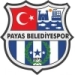 logo Payasspor