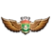 logo Berkut Armyansk