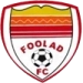 logo Foolad