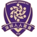 logo Shenzhen Ledman