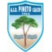 logo Pineto