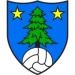 logo FC Saint-Léonard