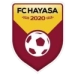 logo Hayasa