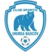 logo Unirea Bascov