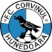 logo Corvinul Hunedoara
