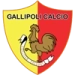 logo Gallipoli