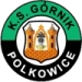 logo Gornik Polkowice