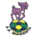 logo AS Magenta Nickel