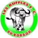 logo Buffles du Borgou