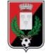 logo Fiorenzuola