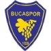 logo Bucaspor