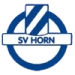 logo Horn