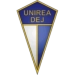 logo Unirea Dej