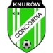 logo Gornik Knurow