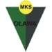 logo Moto Jelcz Olawa