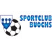 logo Buochs