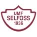 logo Selfoss