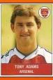 photo Tony Adams