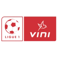logo Ligue 1 Vini