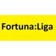 logo Fortuna Liga